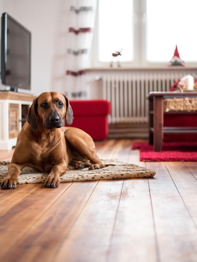 Wohlfuehlen In Ostseenaehe Villa Ratekau Buitenkant foto